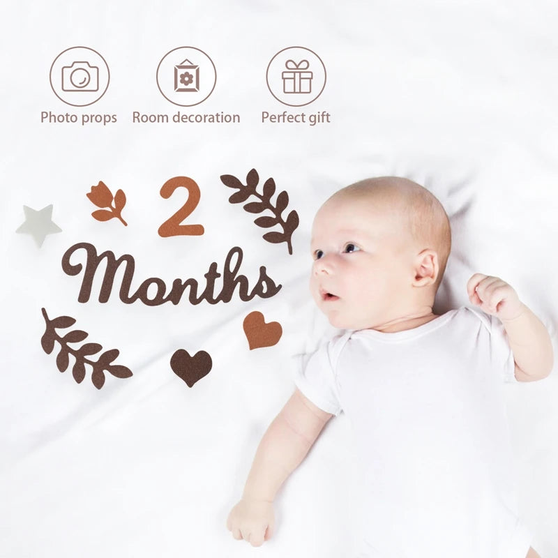 Baby Milestone Cards Soft Felt 0-12 Monthly