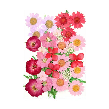 Dried Flowers Real Natural Plant Pressed Flower For Epoxy Resin Filling DIY