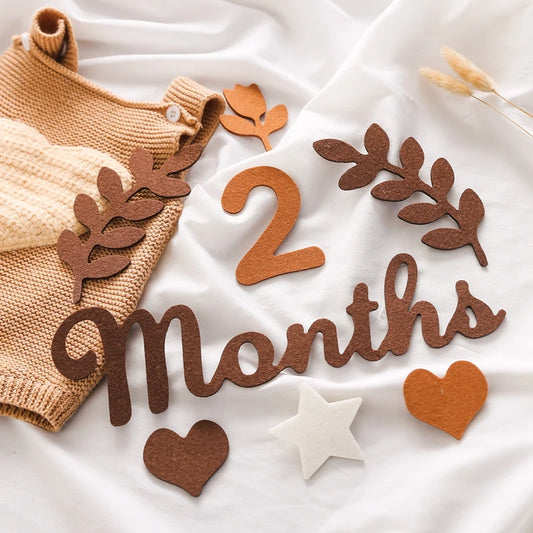 Baby Milestone Cards Soft Felt 0-12 Monthly