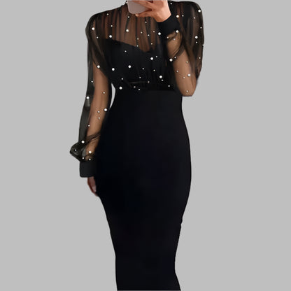 Dots Mesh Lace Evening Dress Long Sleeve Slim Fit