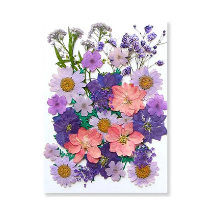 Dried Flowers Real Natural Plant Pressed Flower For Epoxy Resin Filling DIY