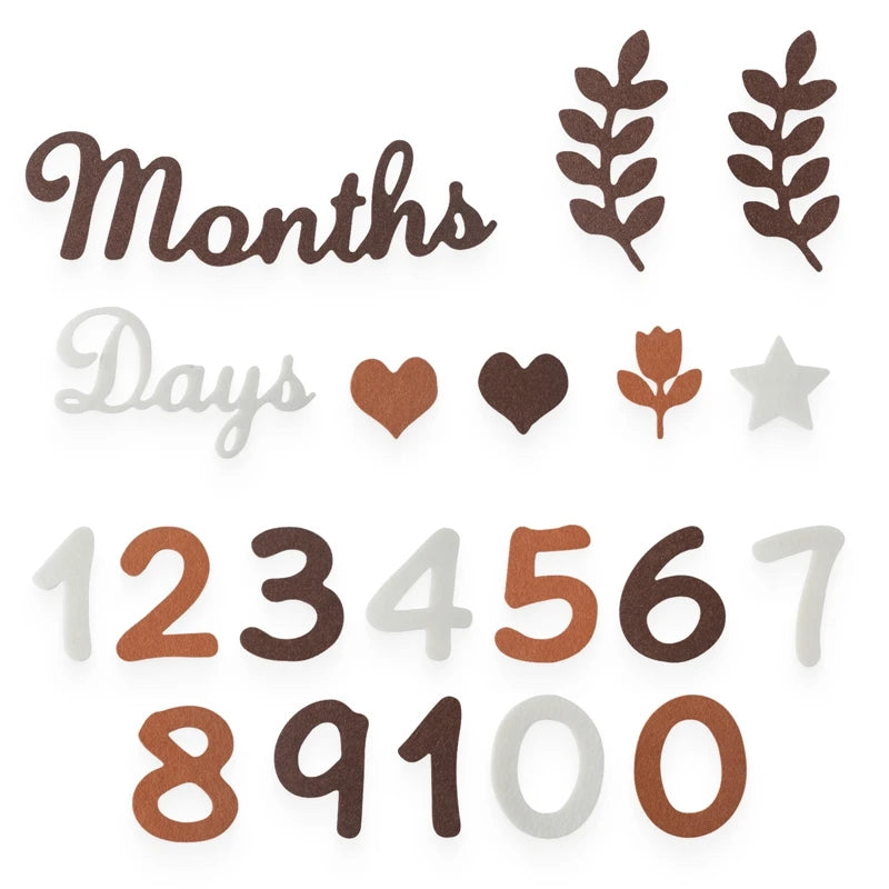 Baby Milestone Cards Soft Felt 0-12 Monthly